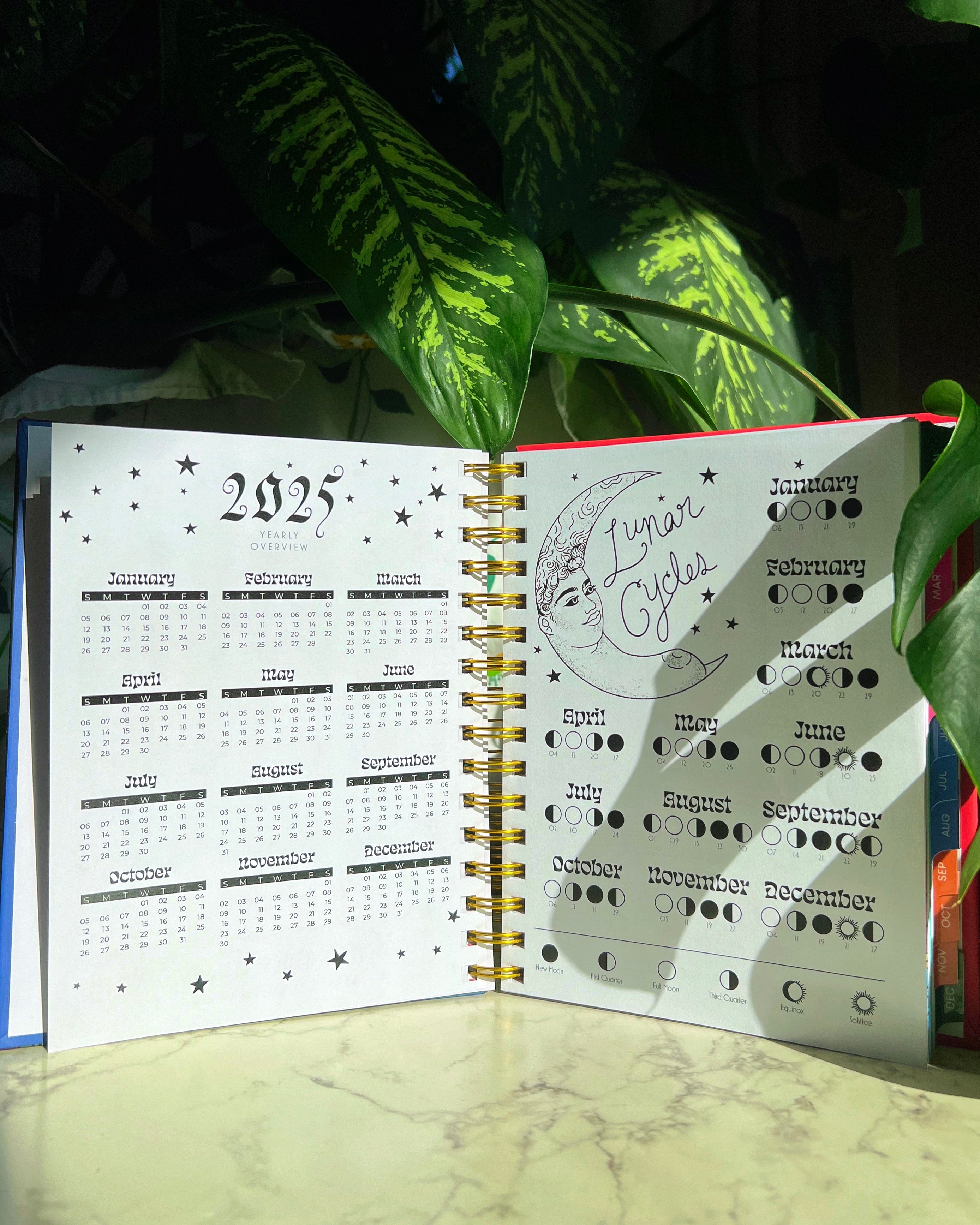 2025 Planner & Cycle Tracker